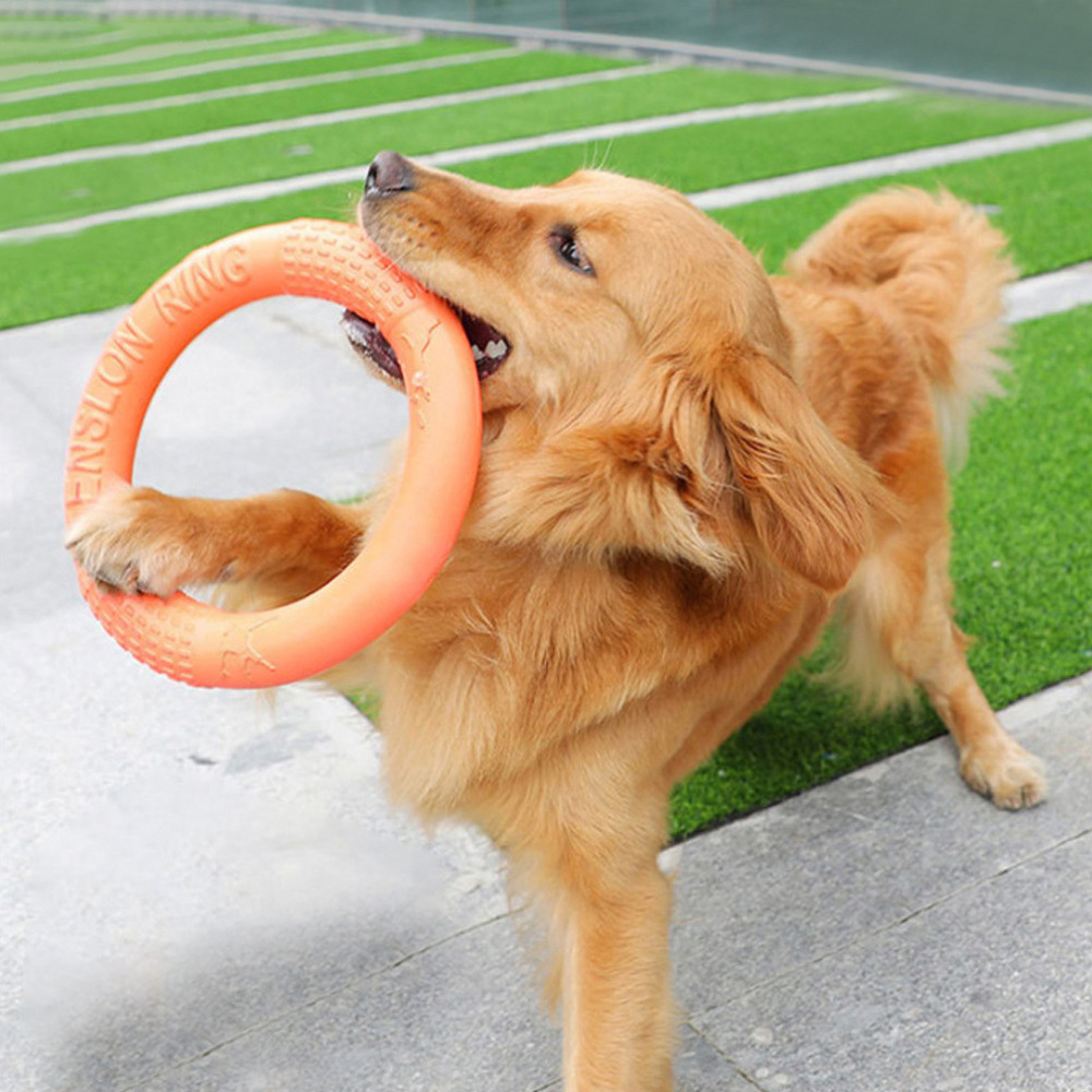 Suction Cup Dog Tug Toy - 1 szt. Pomarańczowy zabawki dla psów