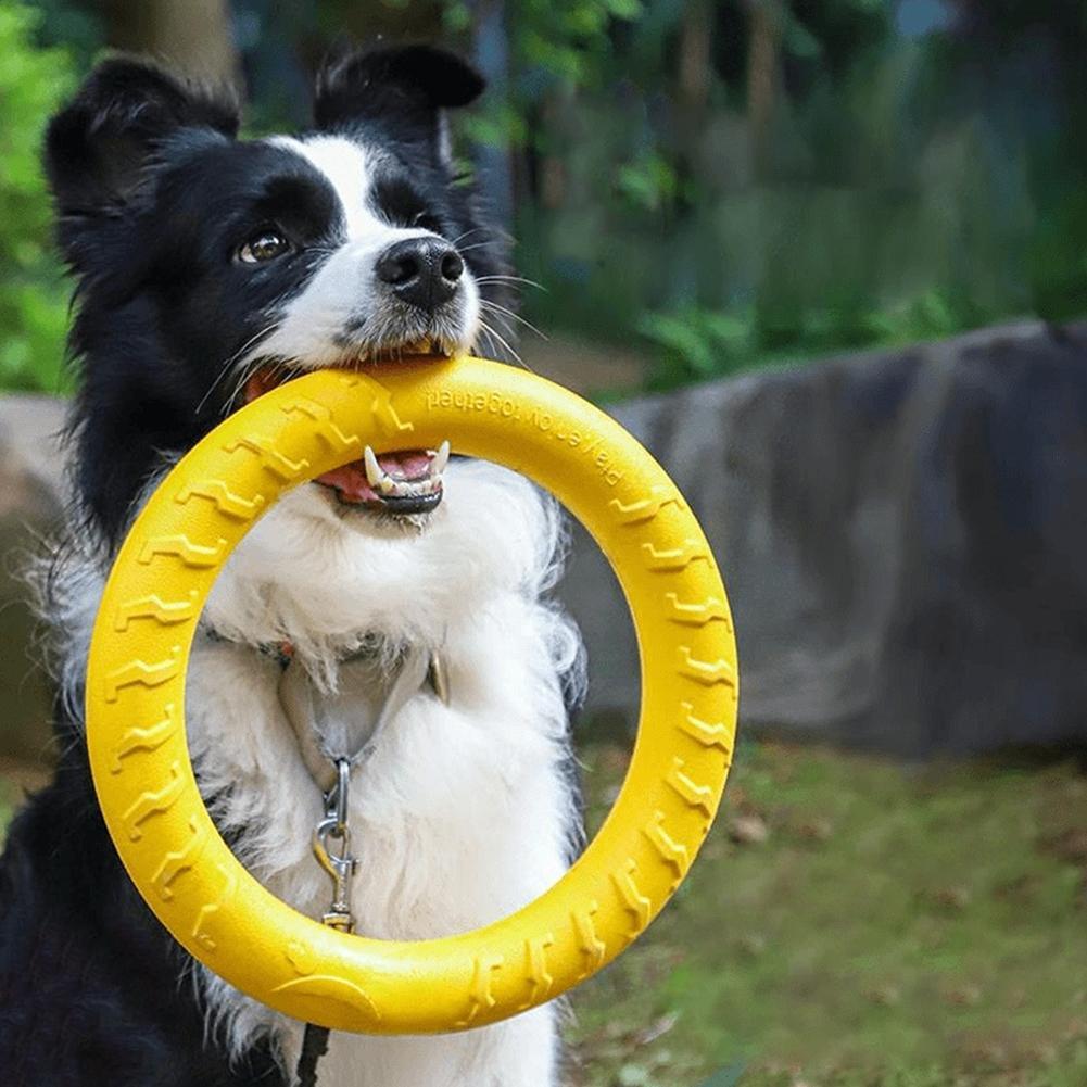 Indestructible Dog Chew Toy - Zabawki dla psów w formie pierścienia,