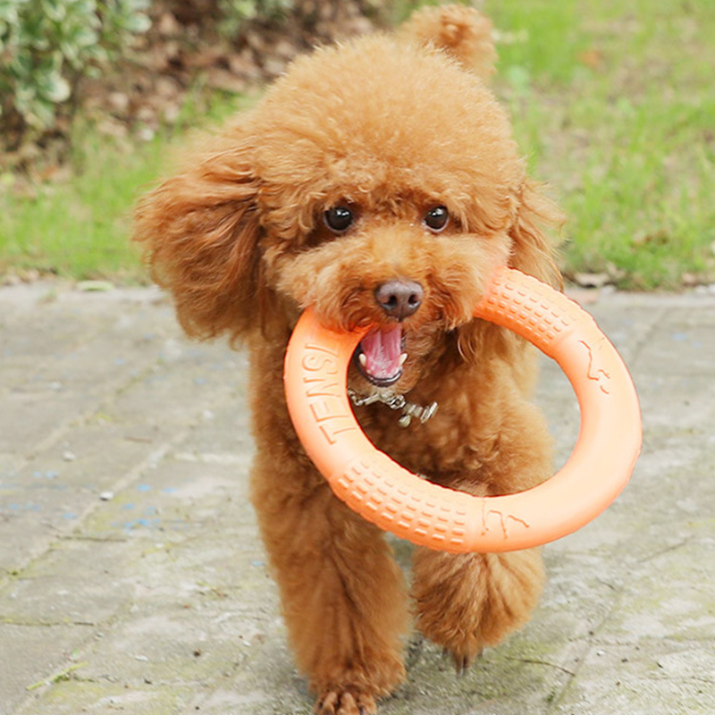 1 szt. Pomarańczowy zabawki dl – Suction Cup Dog Tug Toy recenzja i cena