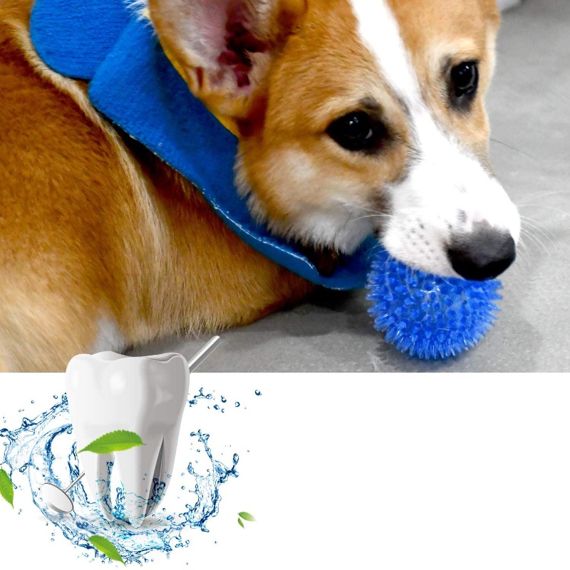 Piłka-zabawka dla kotów i psów – Indestructible Dog Chew Toy recenzja i cena