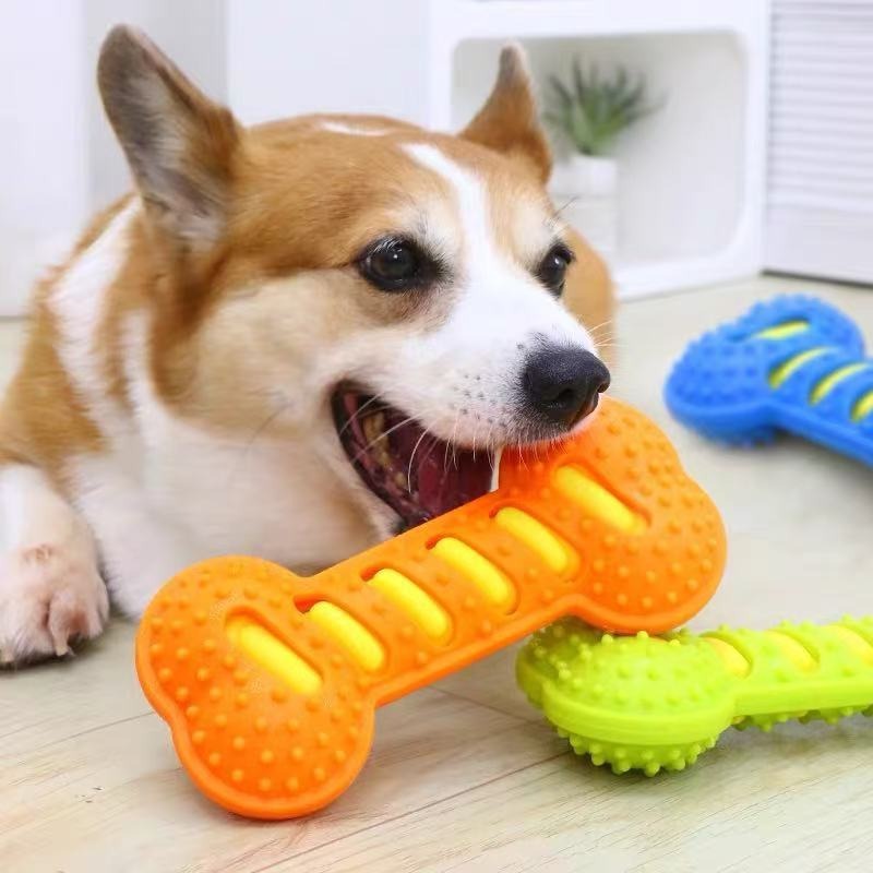 Gumowy pałeczka do żucia dla p – Teeth Cleaning Dog Chew Bone recenzja i cena