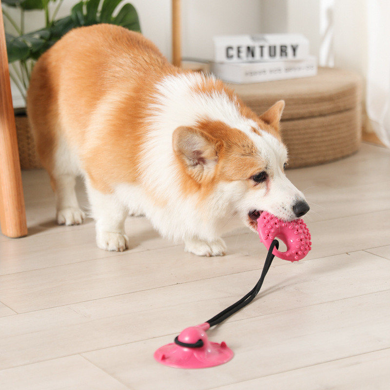 Zabawki dla psów Silikonowa pr – Suction Cup Dog Tug Toy recenzja i cena