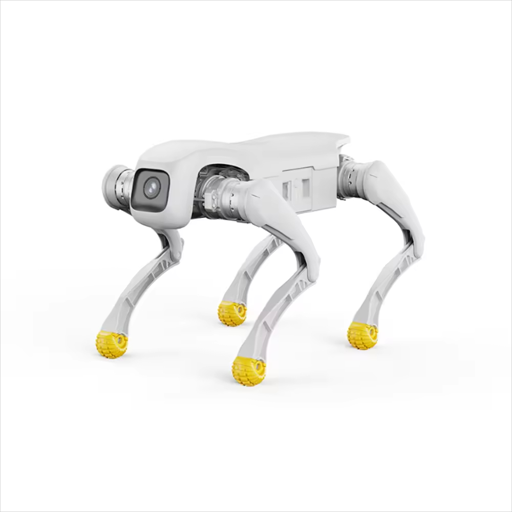 Zabawka robotyczna dla psa, ro – Dog Toys recenzja i cena
