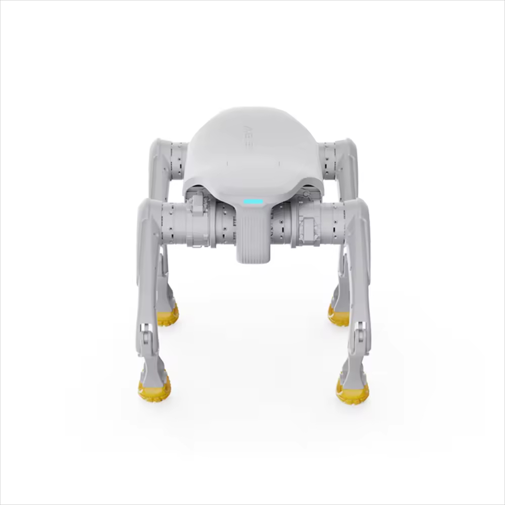 Zabawka robotyczna dla psa, ro – Dog Toys recenzja i cena