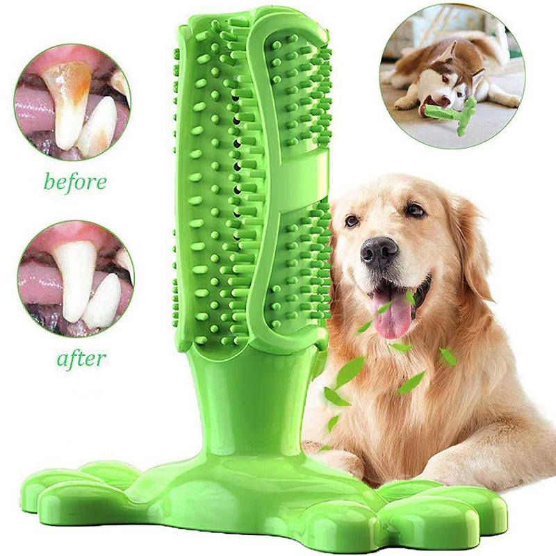 Pet Dog Cactus Interaktywna gu – Rubber Treat Dispensing Dog Toy recenzja i cena