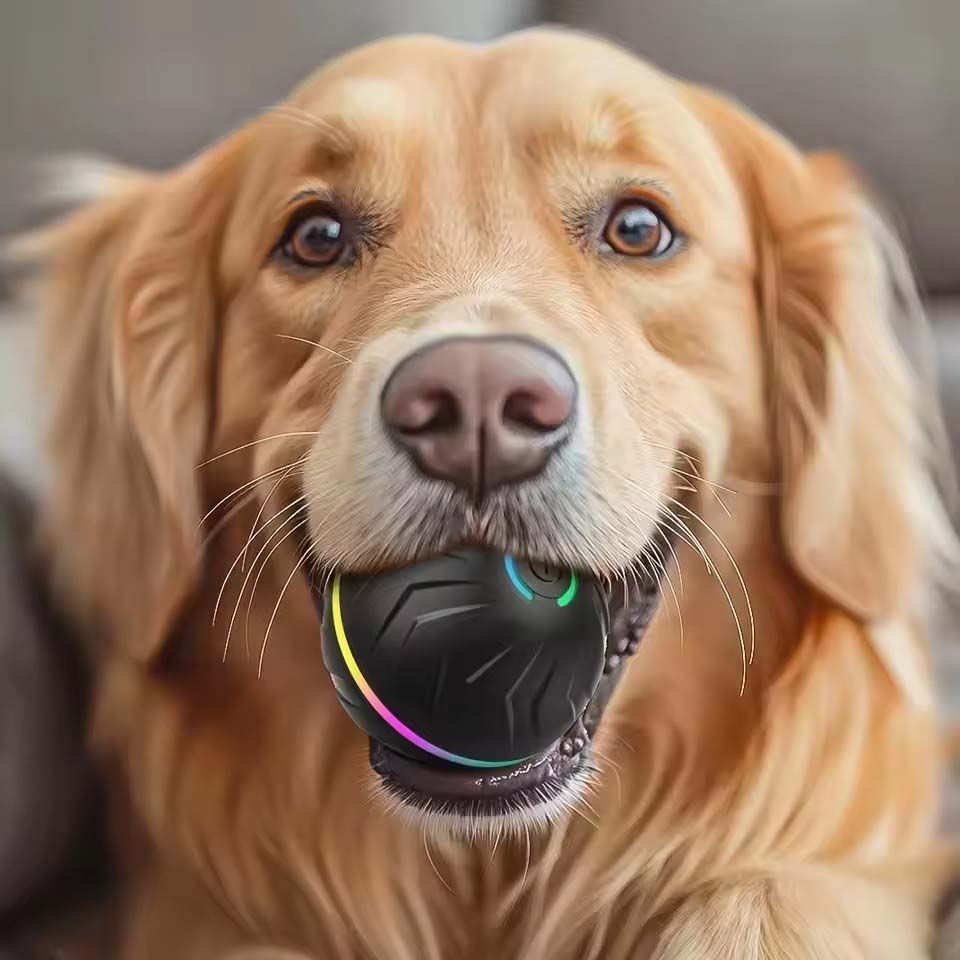 Interaktywne inteligentne zaba – Automatic Moving Dog Ball recenzja i cena