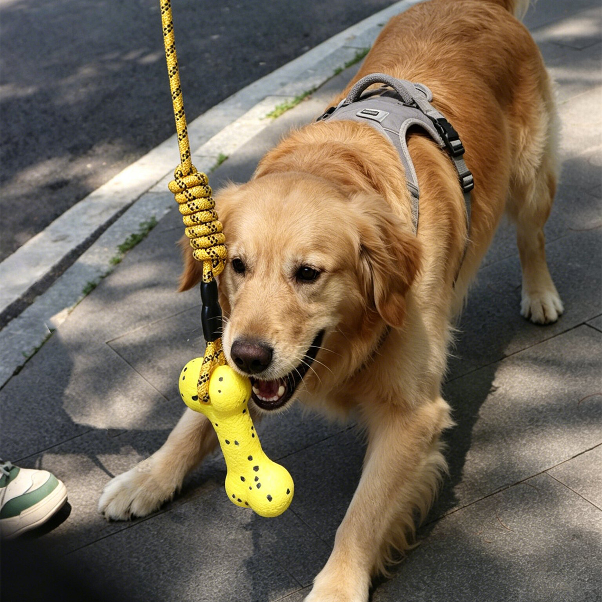 Wytrzymała lina do gryzienia d – Dog Rope Toy Aggressive Chewers recenzja i cena