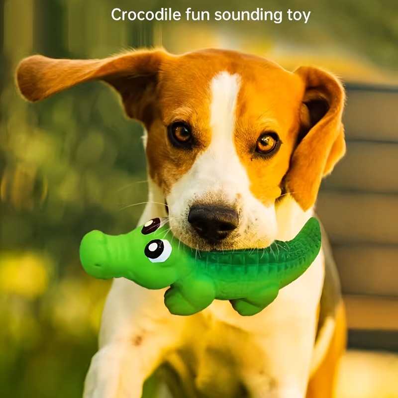 Wytrzymała lateksowa zabawka d – Indestructible Dog Chew Toy recenzja i cena