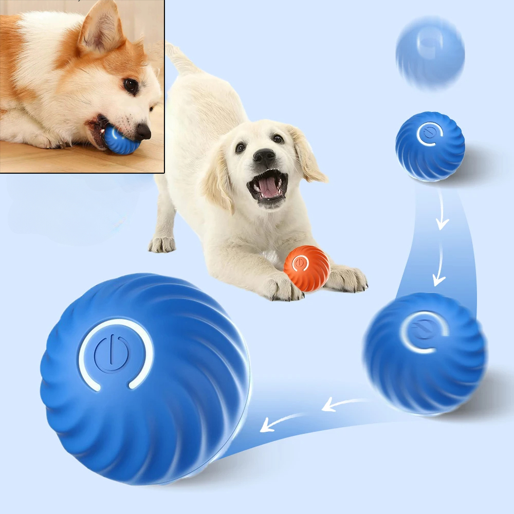 Piłka dla psa, automatycznie s – Automatic Moving Dog Ball recenzja i cena