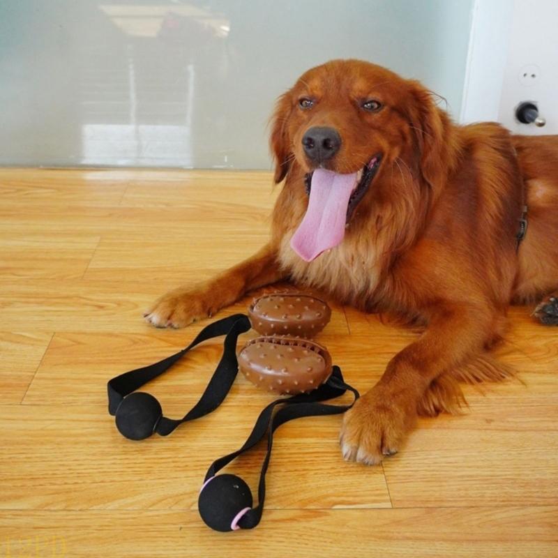 12PD Lina Ziarna kawy Gryzak d – Dog Rope Toy Aggressive Chewers recenzja i cena