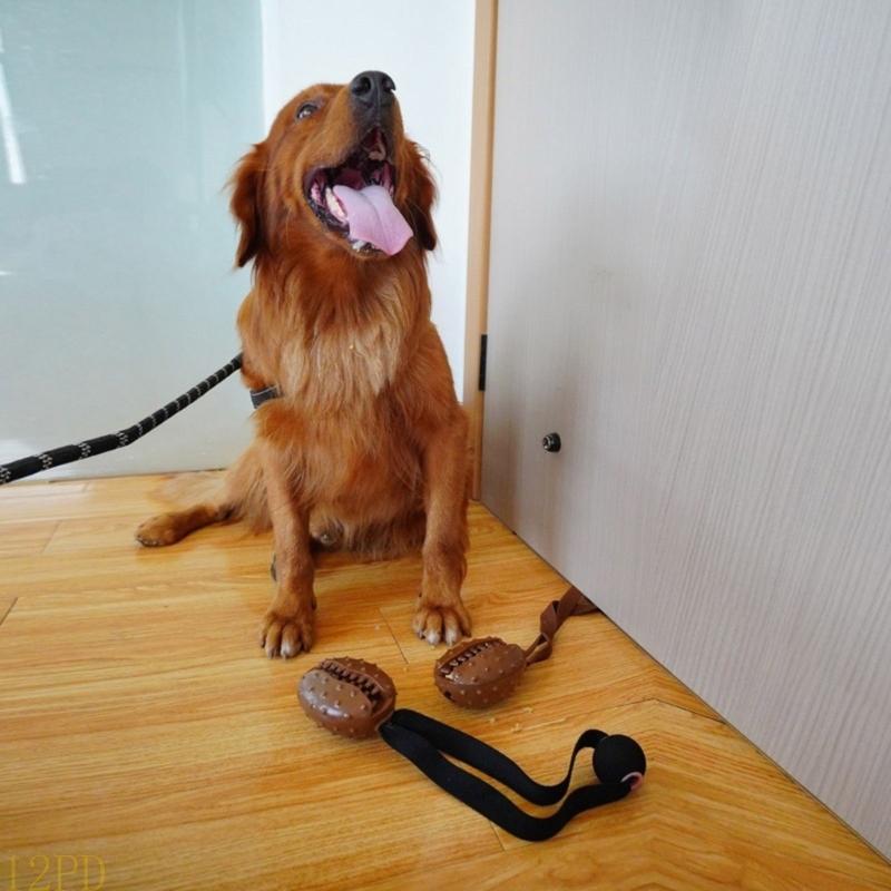 12PD Lina Ziarna kawy Gryzak d – Dog Rope Toy Aggressive Chewers recenzja i cena