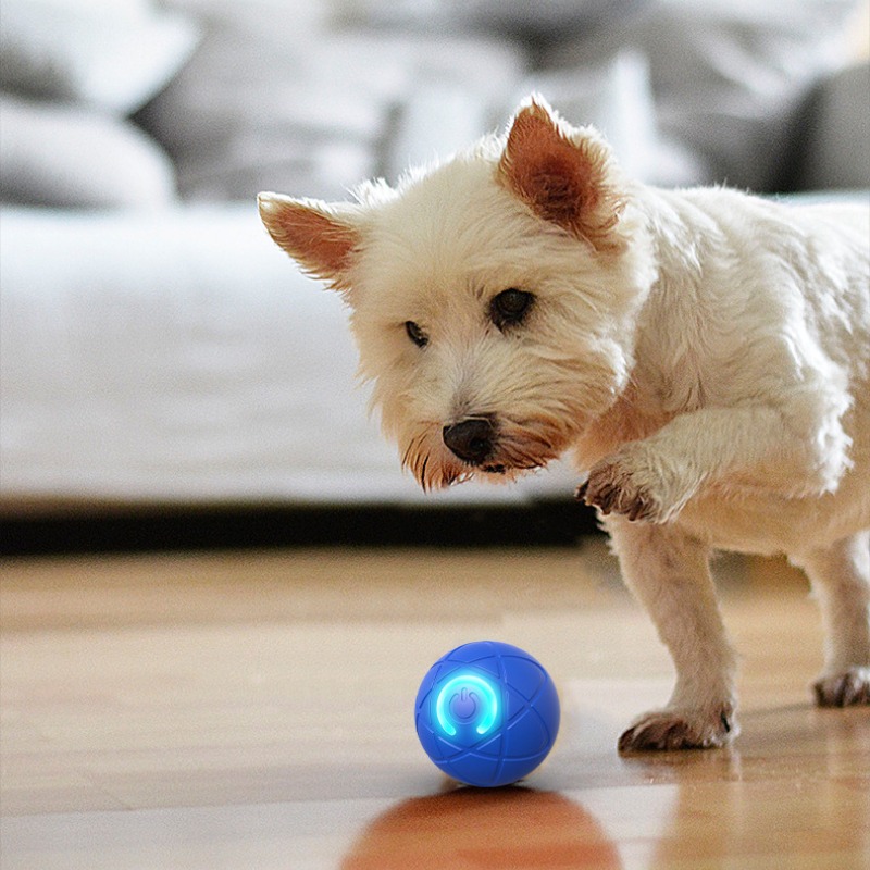 Inteligentna zabawka dla psa P – Automatic Moving Dog Ball recenzja i cena