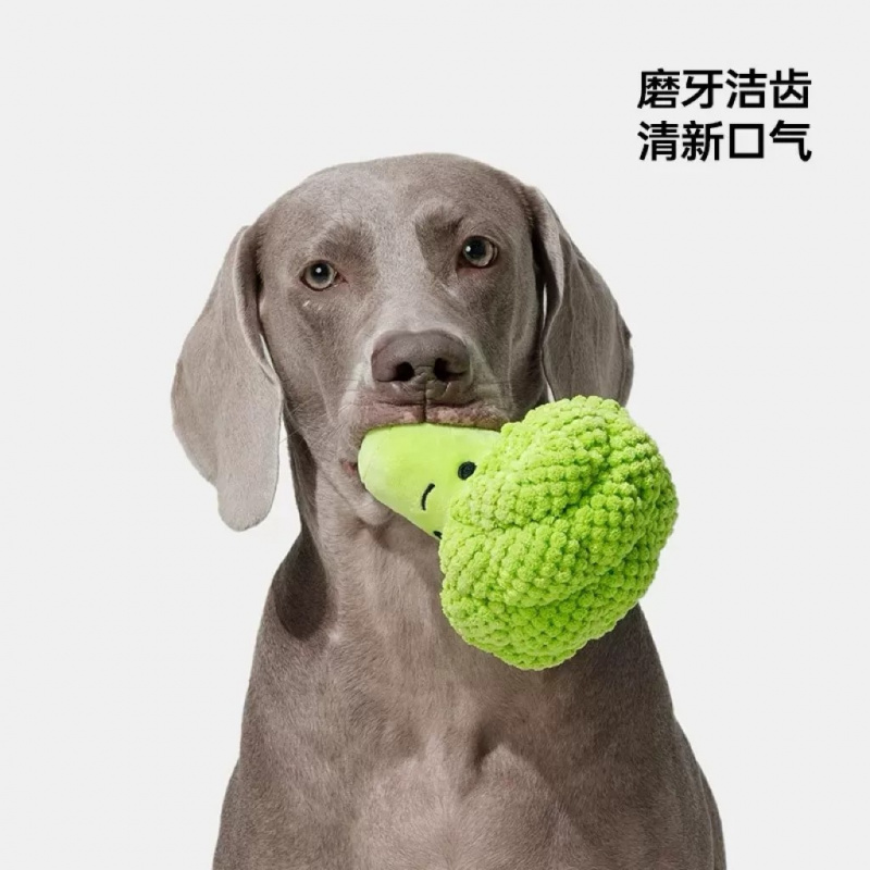 Zabawka dla psa wydająca dźwię – Interactive Squeaky Plush Dog Toy recenzja i cena
