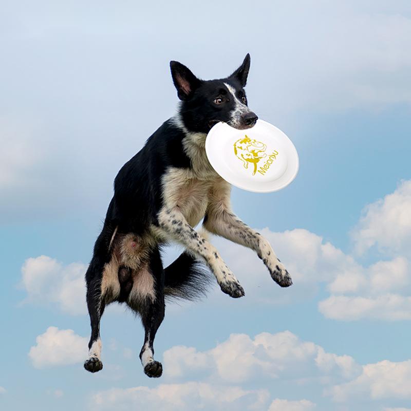 OUZEY odporna na ugryzienia sz – Flying Disc Dog Training Toy recenzja i cena