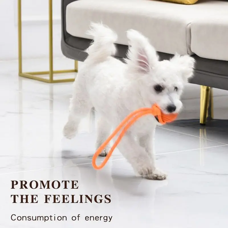 Szkolenia psów piłka na sznurk – Indestructible Dog Chew Toy recenzja i cena