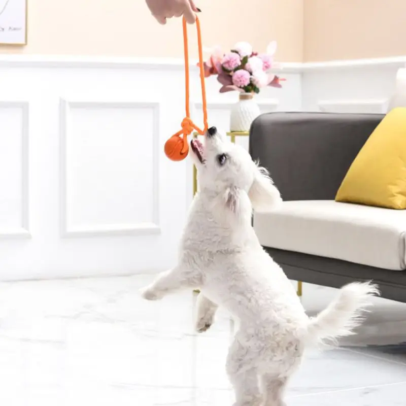 Szkolenia psów piłka na sznurk – Indestructible Dog Chew Toy recenzja i cena