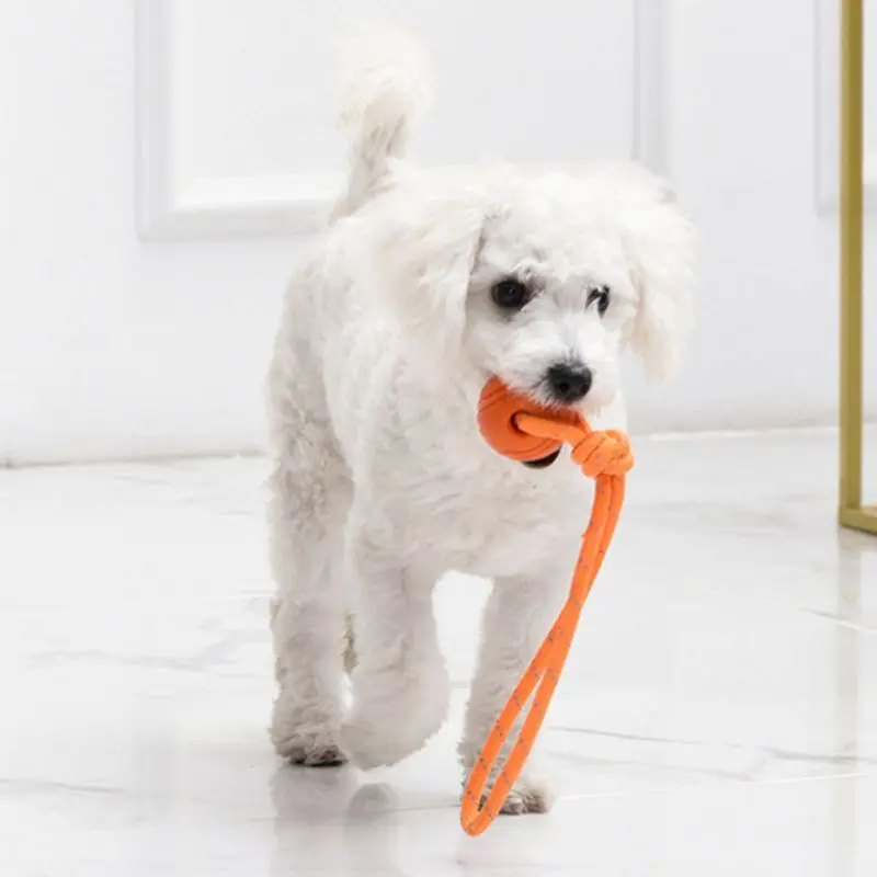 Szkolenia psów piłka na sznurk – Indestructible Dog Chew Toy recenzja i cena