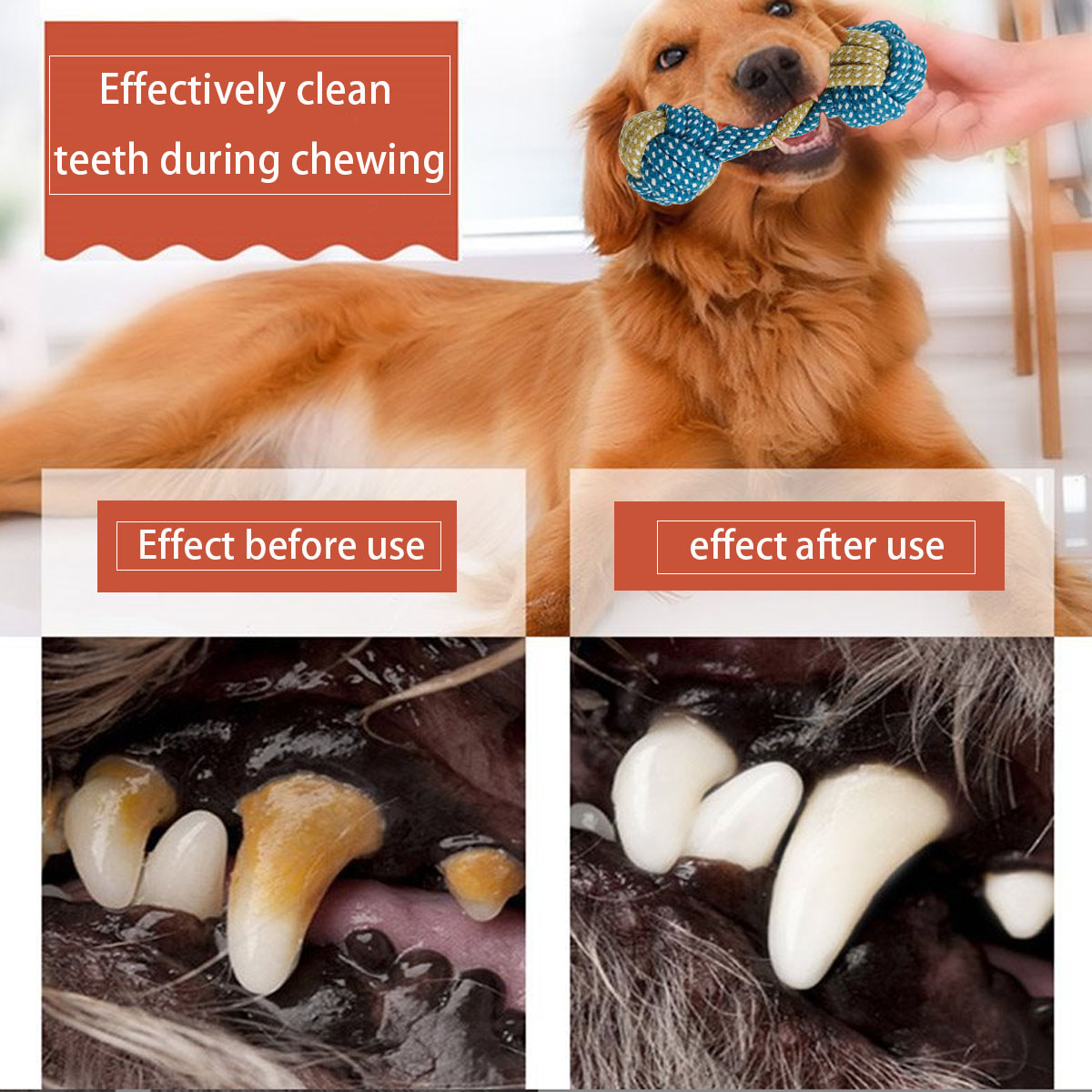 Nowy zestaw 7 szt. zabawek do  – Teeth Cleaning Dog Chew Bone recenzja i cena