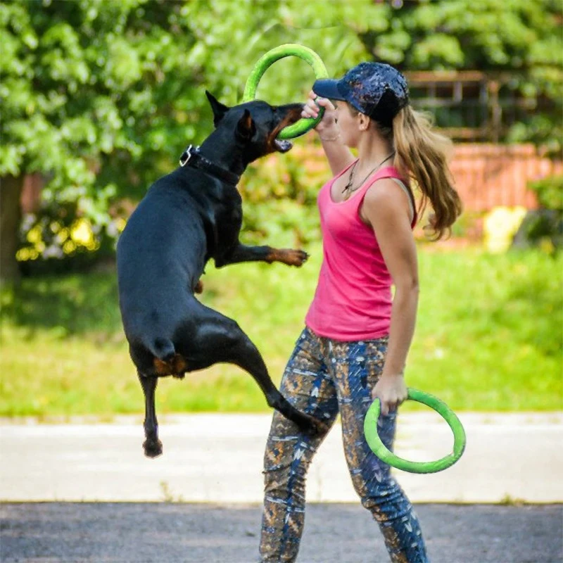 Zabawki dla psów latające dysk – Indestructible Dog Chew Toy recenzja i cena