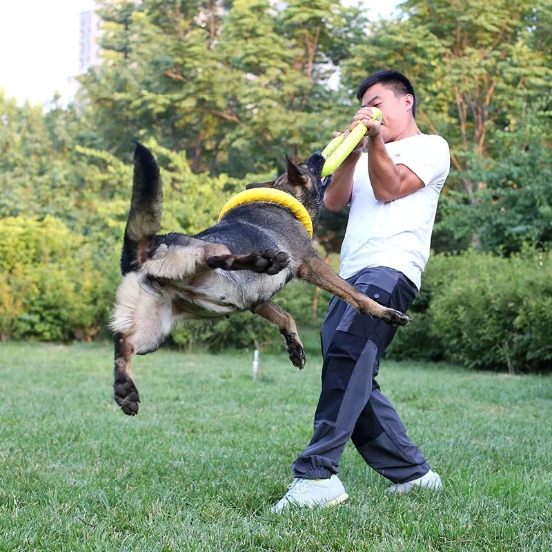 Zabawki dla psów latające dysk – Indestructible Dog Chew Toy recenzja i cena