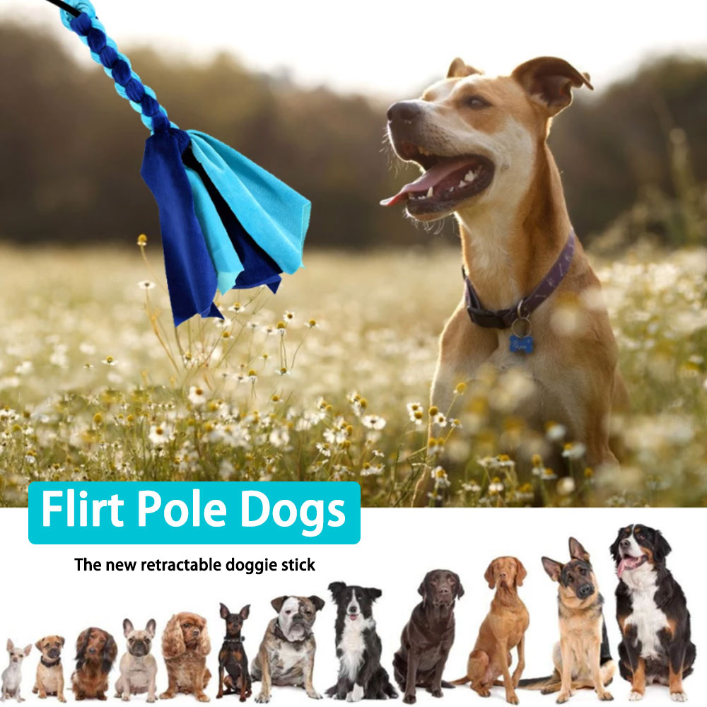 Chowany kij dla psa interaktyw – Indestructible Dog Chew Toy recenzja i cena