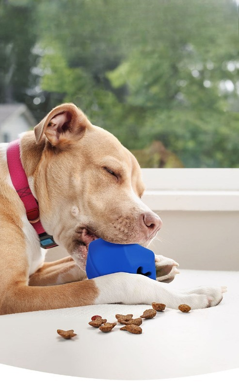 Wytrzymała gumowa zabawka dla  – Rubber Treat Dispensing Dog Toy recenzja i cena