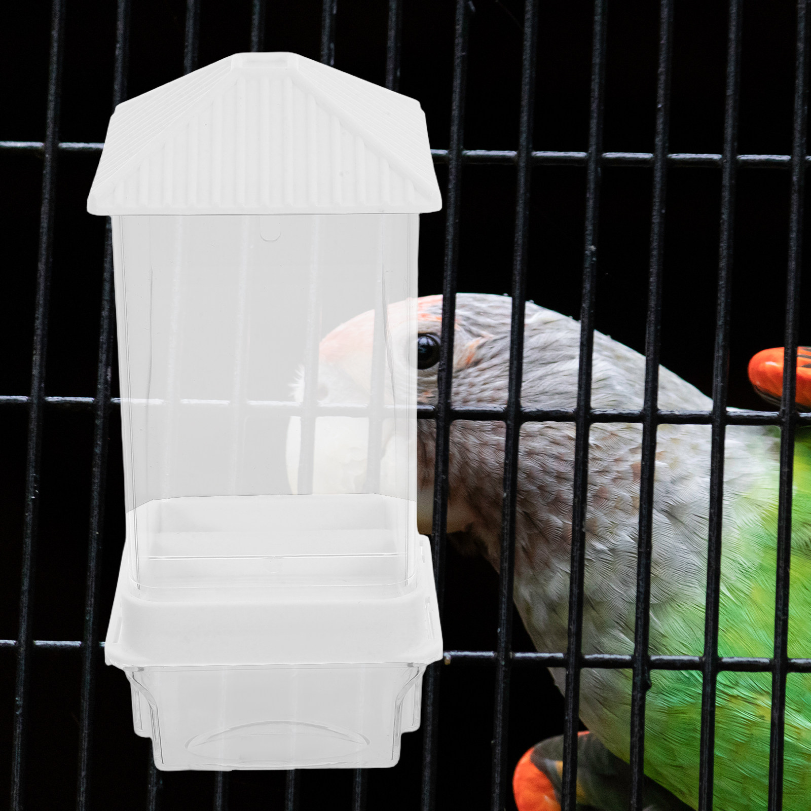 Automatyczny karmnik dla ptakó – Pet Feeders recenzja i cena
