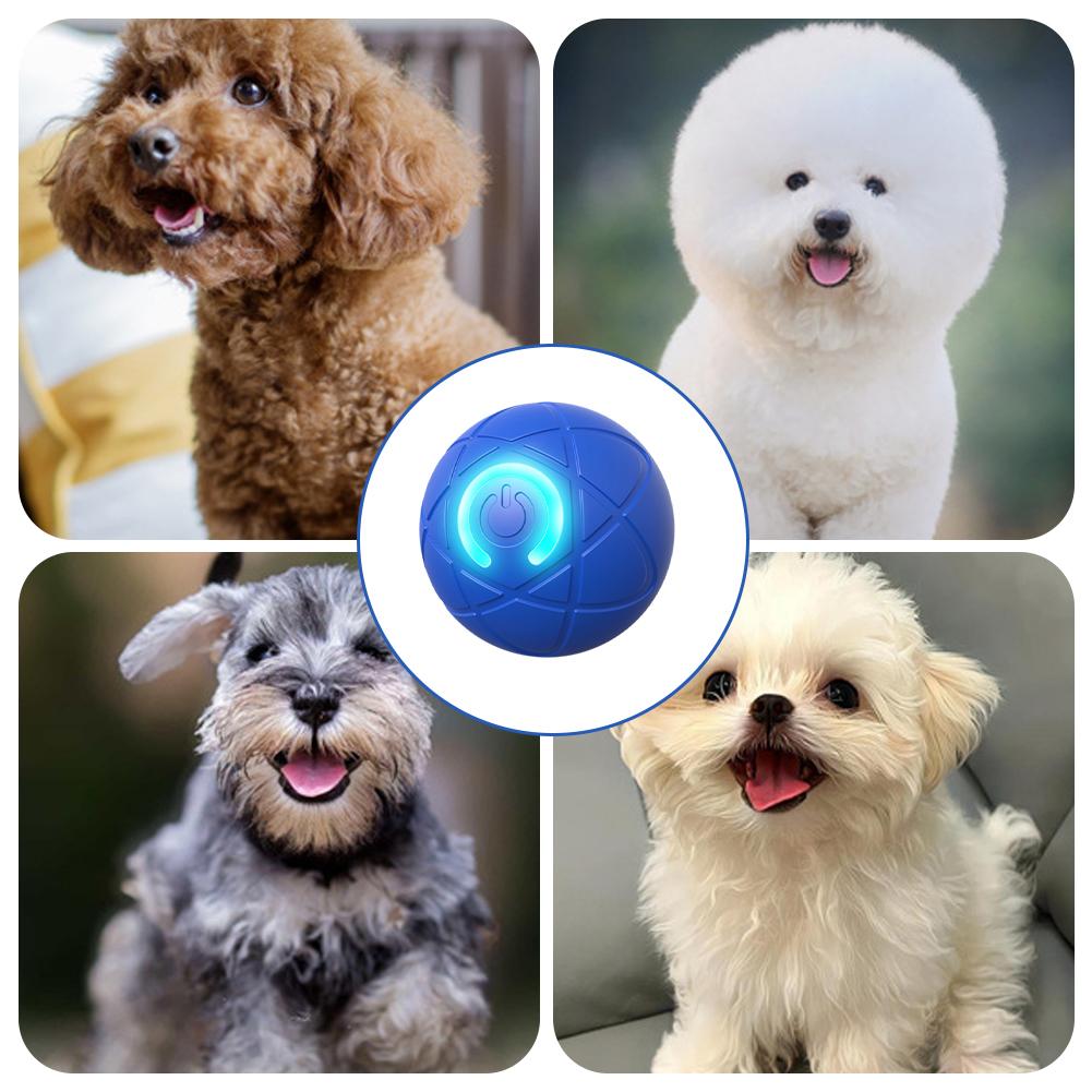 Elektroniczna interaktywna zab – Automatic Moving Dog Ball recenzja i cena