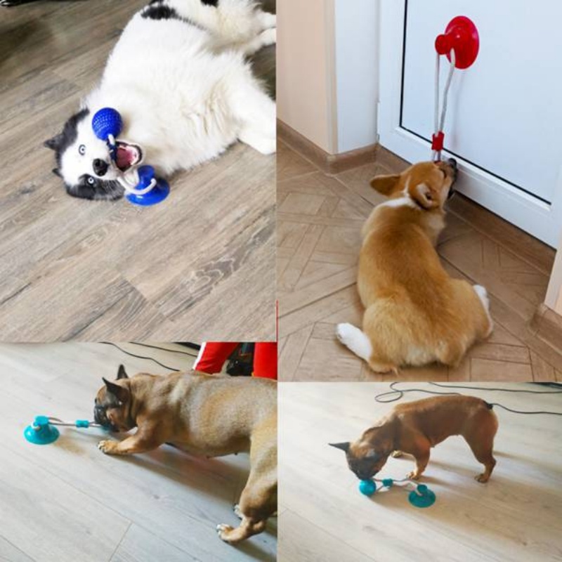 Wytrzymała zabawka dla psa z p – Suction Cup Dog Tug Toy recenzja i cena