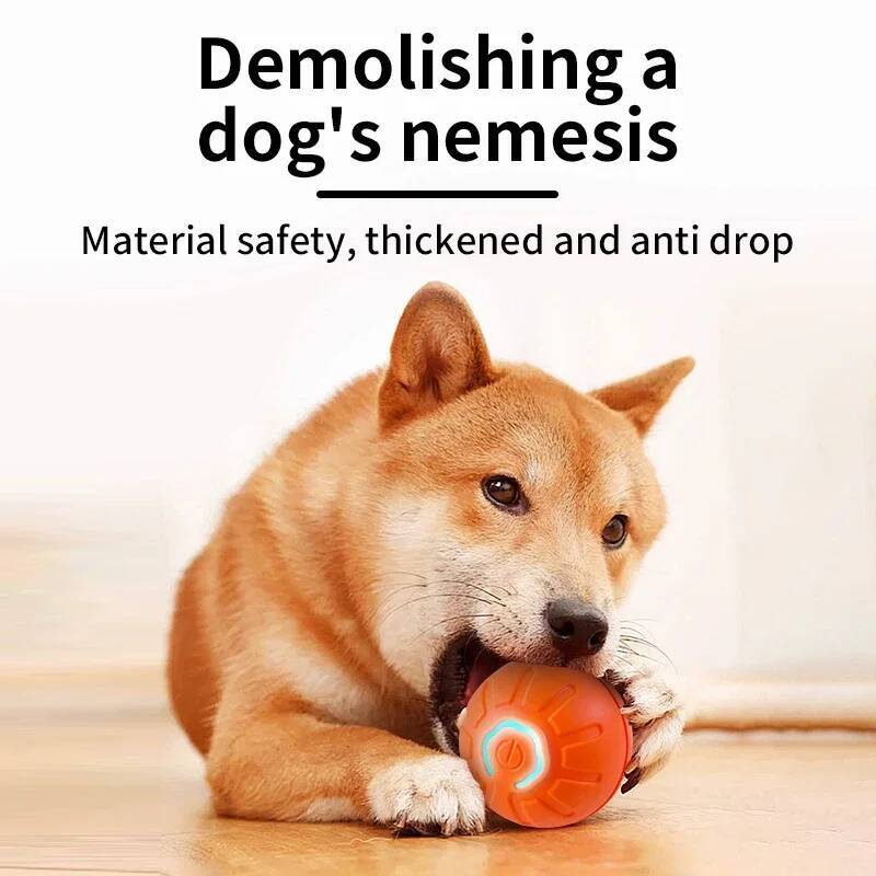 Inteligentna piłka dla psa, el – Automatic Moving Dog Ball recenzja i cena