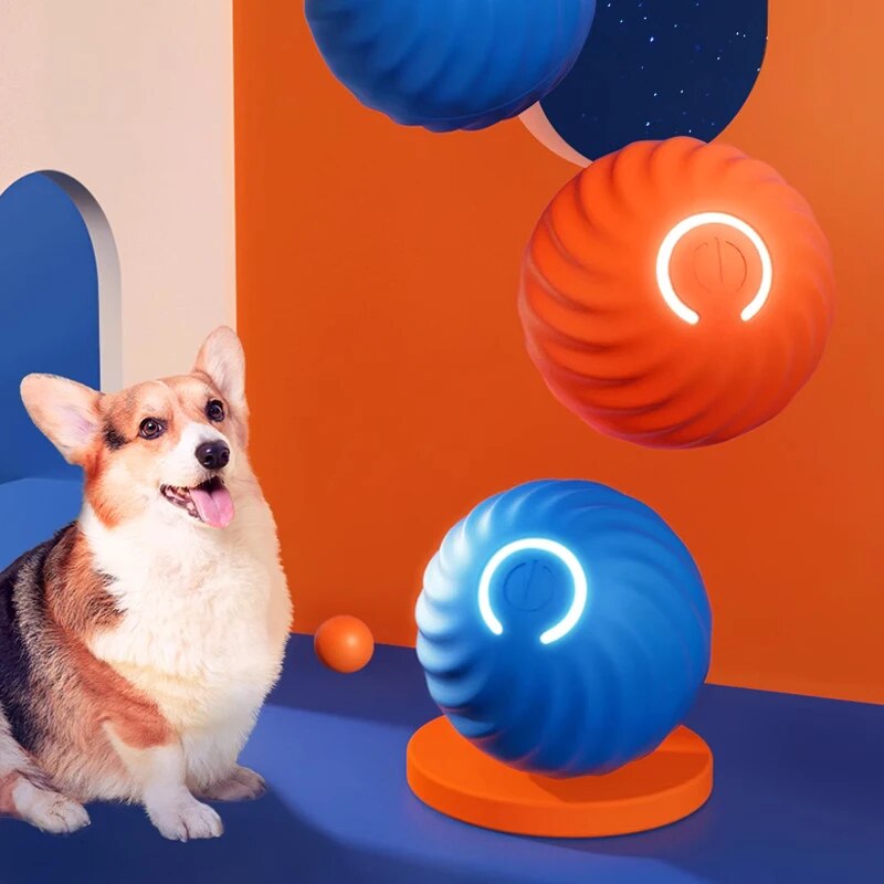 Zabawki dla psów Inteligentna  – Suction Cup Dog Tug Toy recenzja i cena