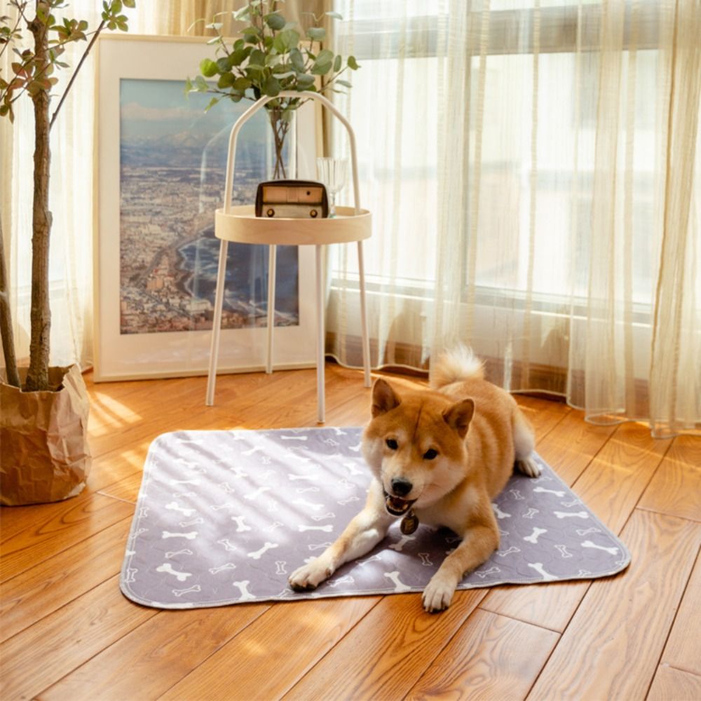 Wytrzymała, super chłonna mata – Pet Beds recenzja i cena