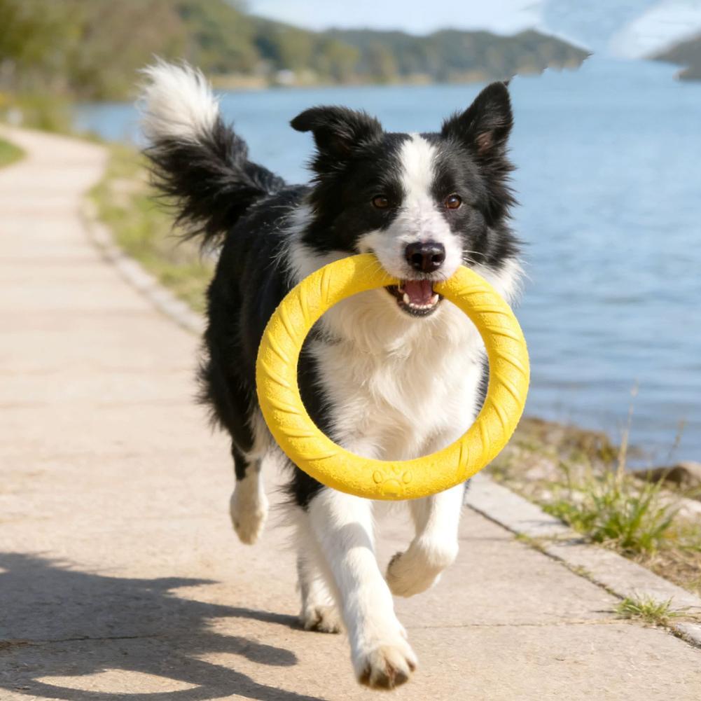Zabawki dla psów w formie pier – Indestructible Dog Chew Toy recenzja i cena