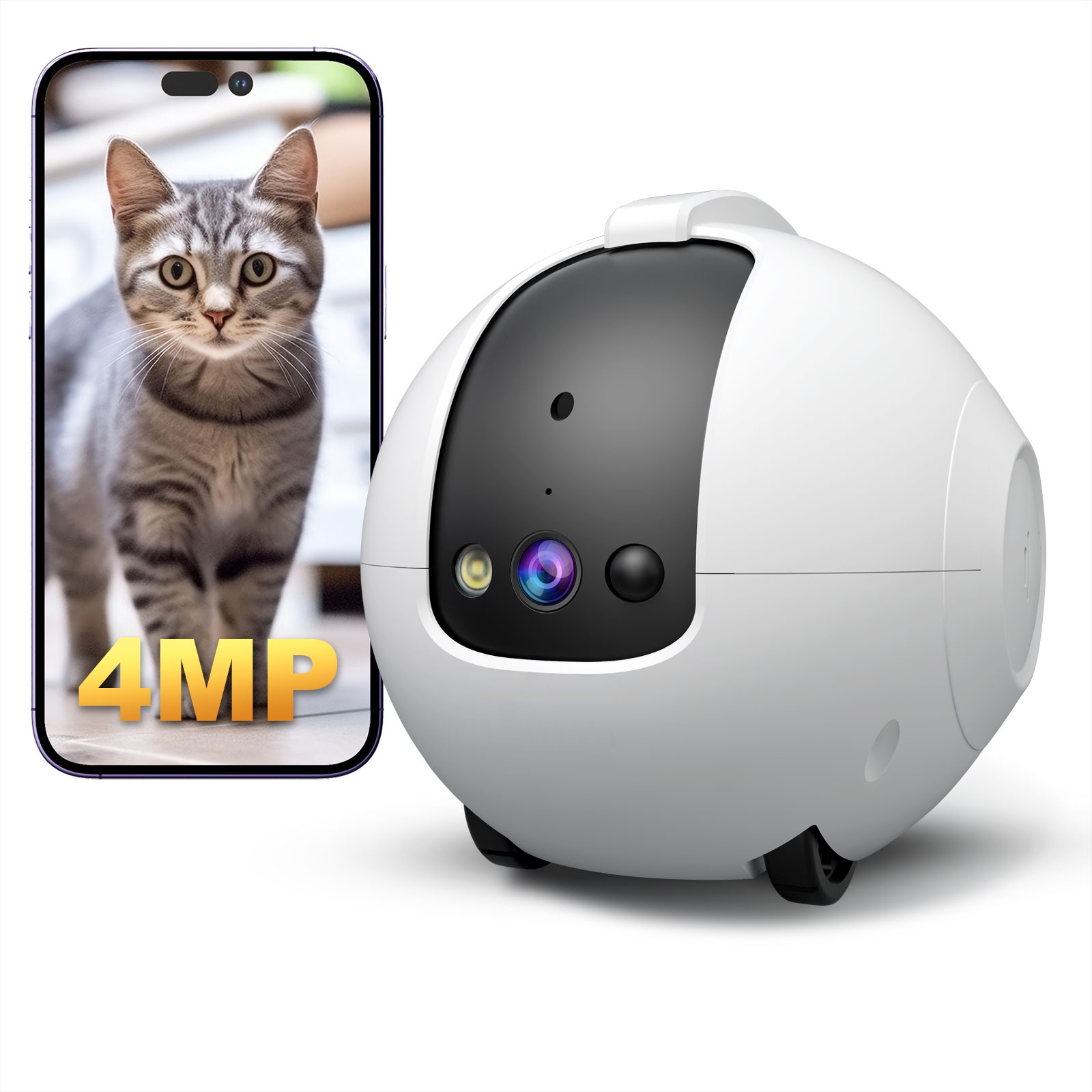 Robot z kamerą do obserwacji z – Cat Toys recenzja i cena