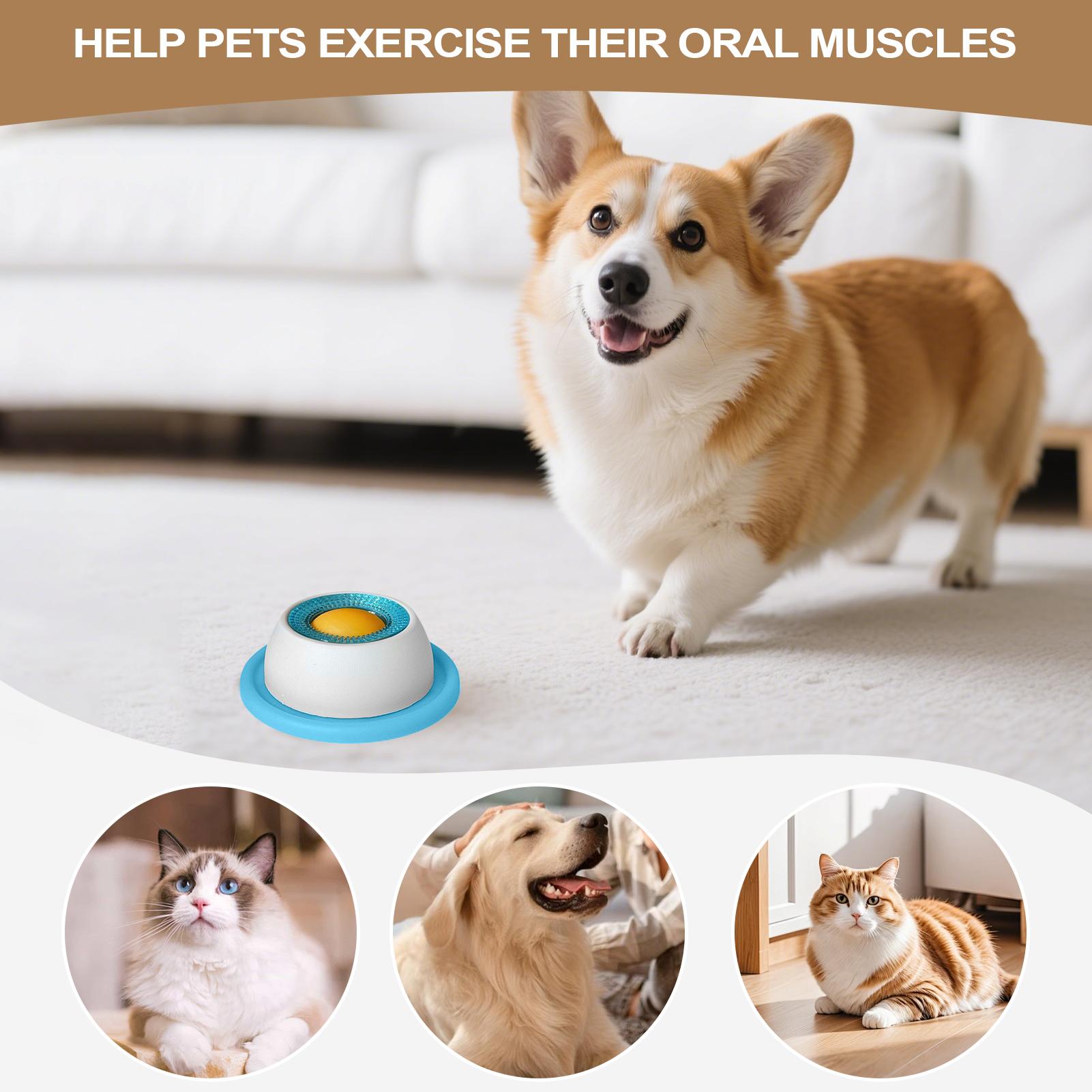 Akcesoria do karmienia zwierzą – Dog Puzzle Feeder Toy recenzja i cena